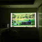 Woodream-Beam Projector-6 Min Gangnam Stn